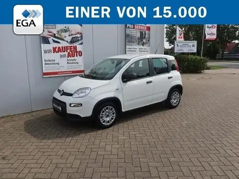 Used FIAT PANDA Petrol 2024 Ad 