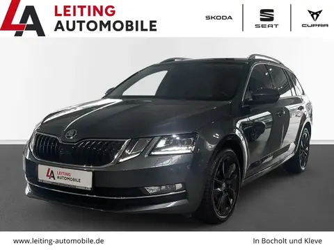 Used SKODA OCTAVIA Petrol 2019 Ad 