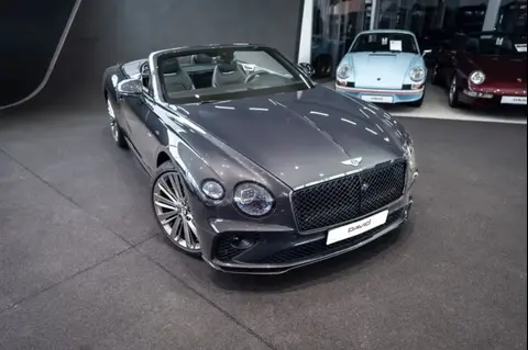 Annonce BENTLEY CONTINENTAL Essence 2021 d'occasion 