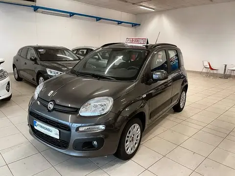 Annonce FIAT PANDA Essence 2019 d'occasion 