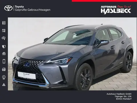 Annonce LEXUS UX Hybride 2019 d'occasion 