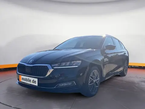 Annonce SKODA OCTAVIA Diesel 2024 d'occasion 