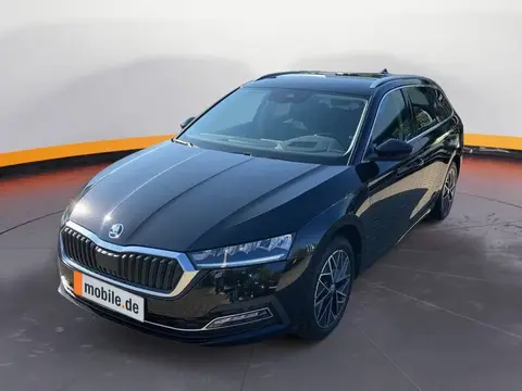 Annonce SKODA OCTAVIA Diesel 2024 d'occasion 