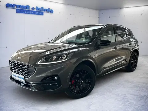 Annonce FORD KUGA Hybride 2023 d'occasion 