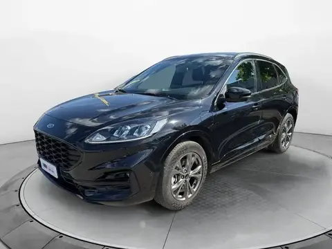 Used FORD KUGA Hybrid 2020 Ad 