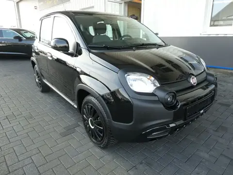 Used FIAT PANDA Petrol 2023 Ad 