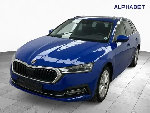 Used SKODA OCTAVIA Diesel 2020 Ad 