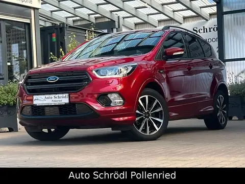 Annonce FORD KUGA Diesel 2019 d'occasion 