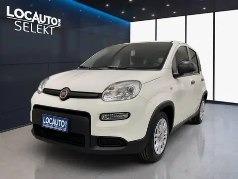 Annonce FIAT PANDA Hybride 2023 d'occasion 