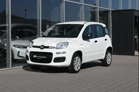 Used FIAT PANDA  2020 Ad 