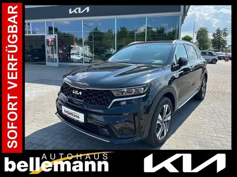 Annonce KIA SORENTO Diesel 2024 d'occasion 