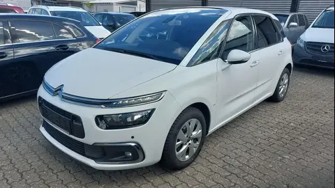 Used CITROEN C4 Diesel 2017 Ad 