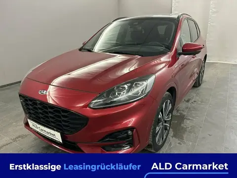 Used FORD KUGA Diesel 2020 Ad 