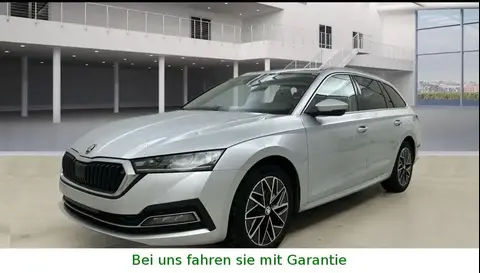 Used SKODA OCTAVIA Diesel 2020 Ad 