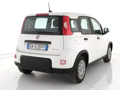 Used FIAT PANDA Hybrid 2023 Ad 