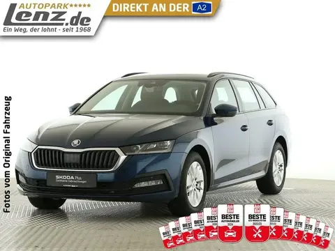 Used SKODA OCTAVIA Diesel 2021 Ad 