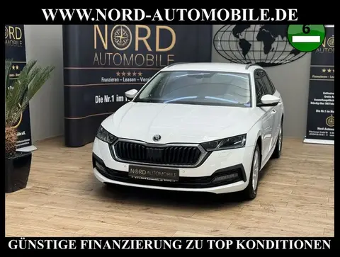 Annonce SKODA OCTAVIA Diesel 2020 d'occasion 