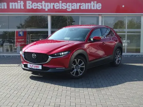 Annonce MAZDA CX-30 Essence 2021 d'occasion 