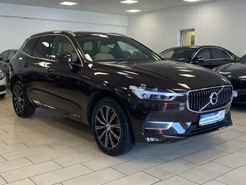 Annonce VOLVO XC60 Essence 2019 d'occasion 