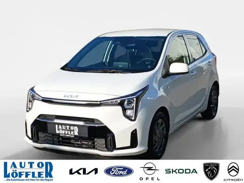 Used KIA PICANTO Petrol 2024 Ad 