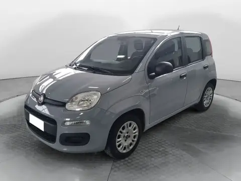 Annonce FIAT PANDA Diesel 2018 d'occasion 