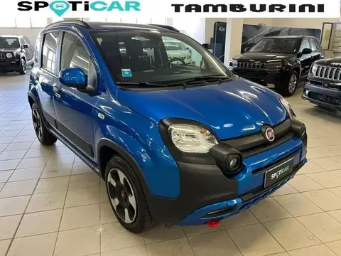 Annonce FIAT PANDA Hybride 2023 d'occasion 