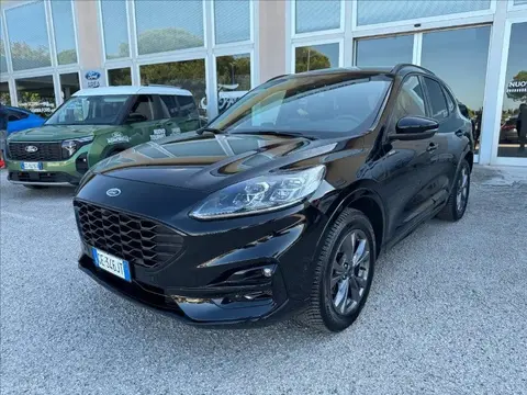 Used FORD KUGA Hybrid 2021 Ad 