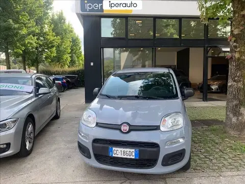 Annonce FIAT PANDA Hybride 2020 d'occasion 