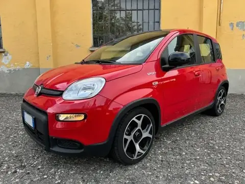 Used FIAT PANDA Hybrid 2021 Ad 