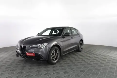 Annonce ALFA ROMEO STELVIO Diesel 2021 d'occasion 