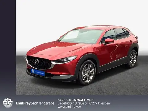 Annonce MAZDA CX-30 Essence 2021 d'occasion 