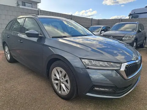 Used SKODA OCTAVIA Diesel 2021 Ad 