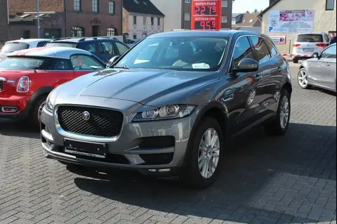 Used JAGUAR F-PACE Petrol 2017 Ad 