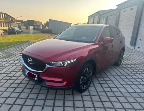 Used MAZDA CX-5 Petrol 2018 Ad 