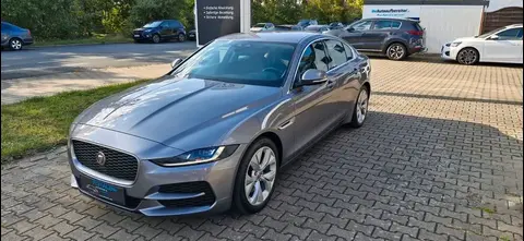 Annonce JAGUAR XE Diesel 2020 d'occasion 