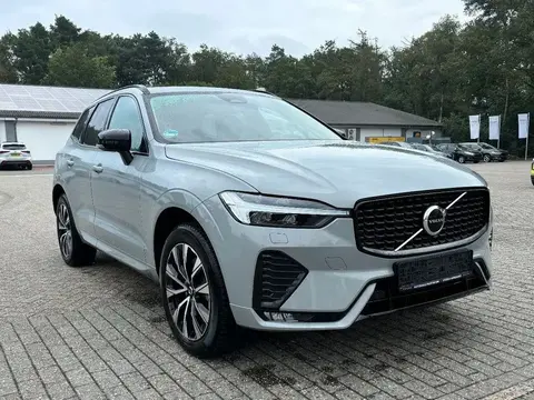 Annonce VOLVO XC60 Diesel 2023 d'occasion 