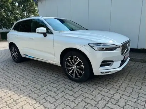 Annonce VOLVO XC60 Diesel 2021 d'occasion 