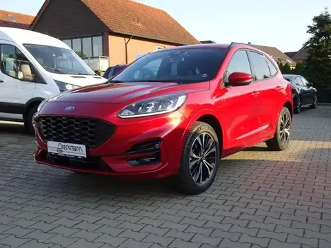 Annonce FORD KUGA Hybride 2023 d'occasion 