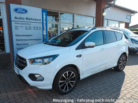 Used FORD KUGA Petrol 2019 Ad 