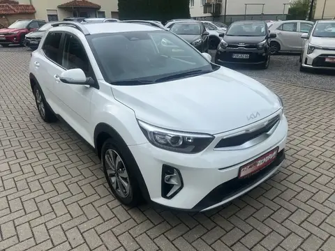 Annonce KIA STONIC Essence 2024 d'occasion 