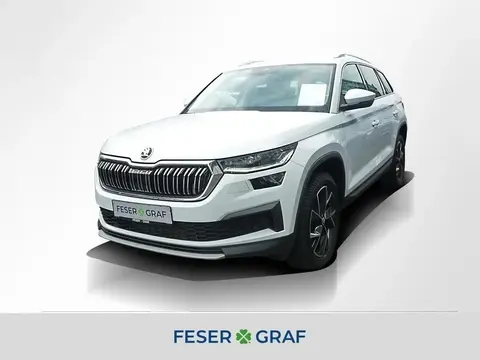 Used SKODA KODIAQ Diesel 2023 Ad 