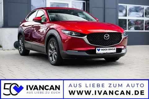 Annonce MAZDA CX-30 Essence 2020 d'occasion 