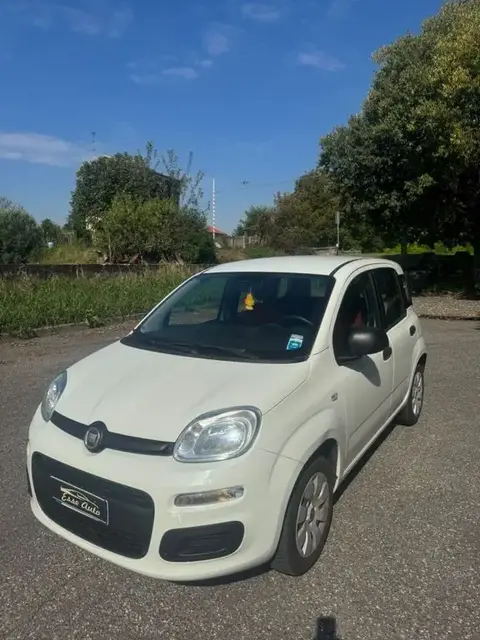 Annonce FIAT PANDA Essence 2019 d'occasion 