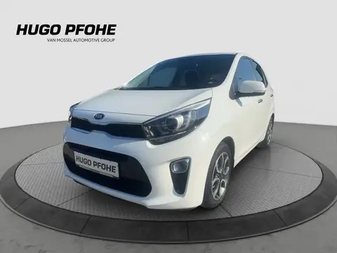 Used KIA PICANTO Petrol 2019 Ad 