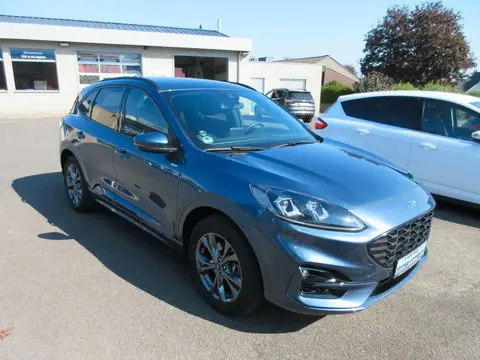 Used FORD KUGA Hybrid 2021 Ad 