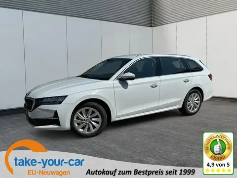 Used SKODA OCTAVIA Diesel 2024 Ad 