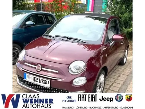 Used FIAT 500 Petrol 2021 Ad 