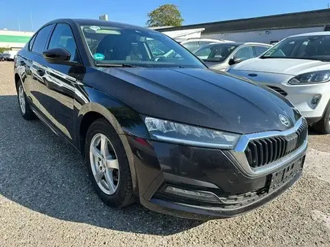 Used SKODA OCTAVIA Diesel 2021 Ad 