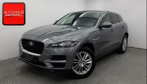 Used JAGUAR F-PACE Diesel 2019 Ad 