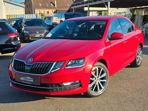 Annonce SKODA OCTAVIA Diesel 2019 d'occasion 